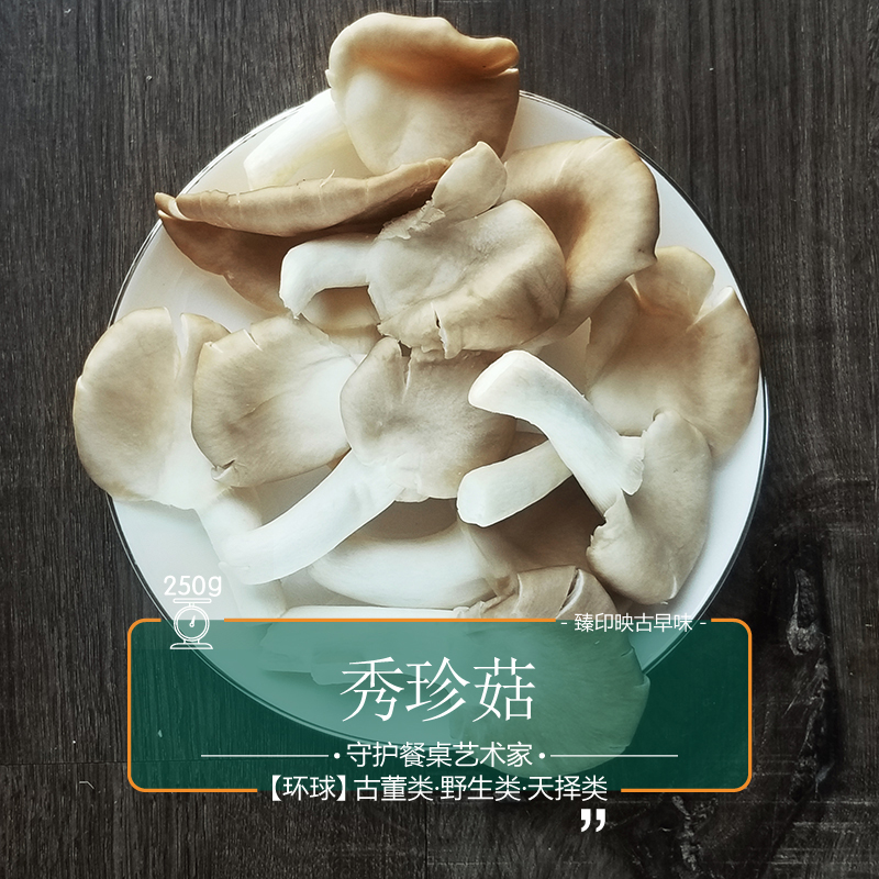 ӡӳ̨乽βӪḻʹάض.6
