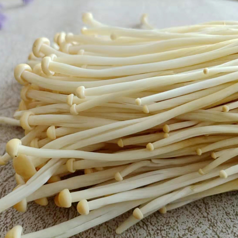 ʻƽ빽 Ũɫ빽ڰٴʳ
