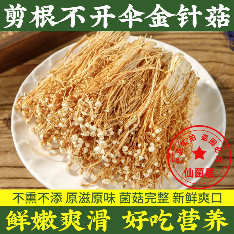 ز빽500gɻʲժñζȻζ
