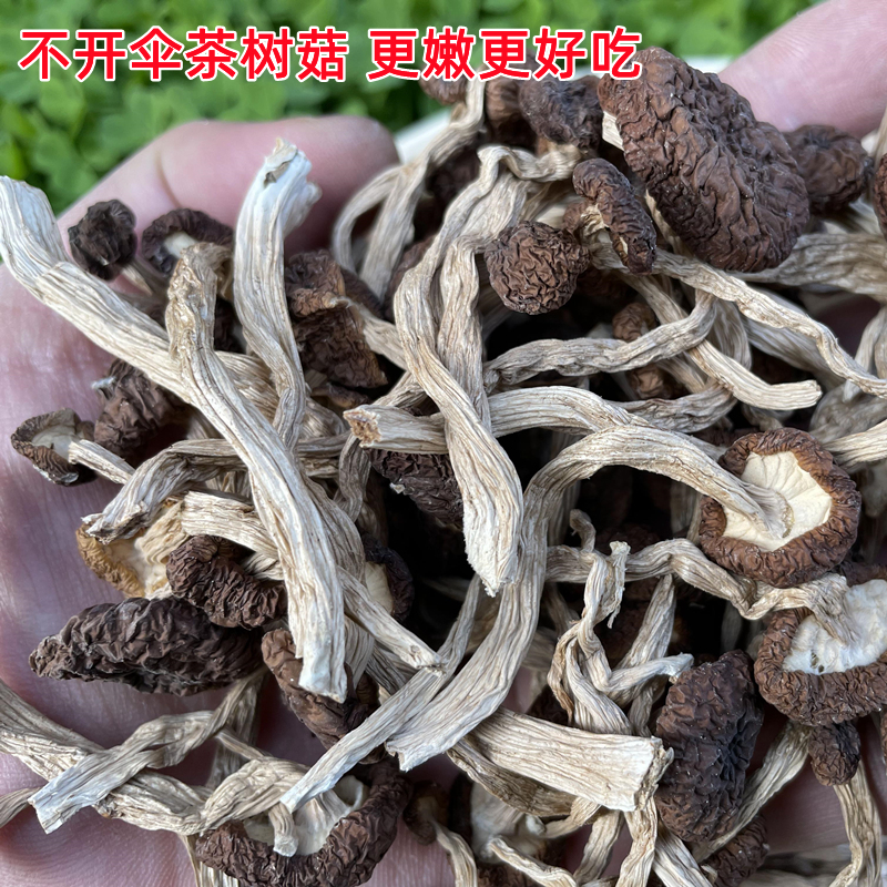 ɻص»ɡ޼޸۲Ģ㹽Ҿɢװ500g
