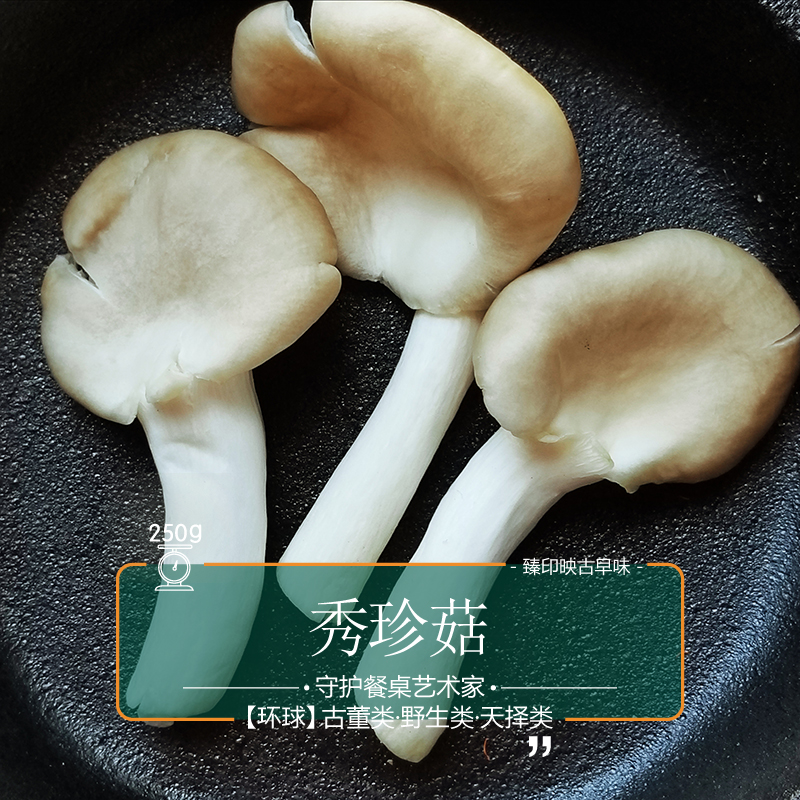 ӡӳ̨乽βӪḻʹάض.6
