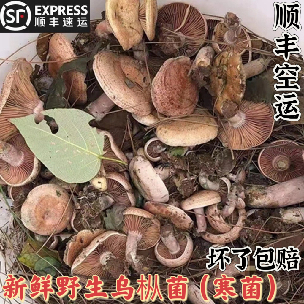 ҰĢȾϾ̽500g
