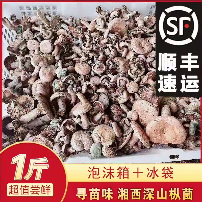 ҰȾĢȾަ 500g
