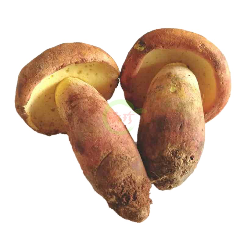 23ֻʺţξ500g״оҰɫĢڻϼ
