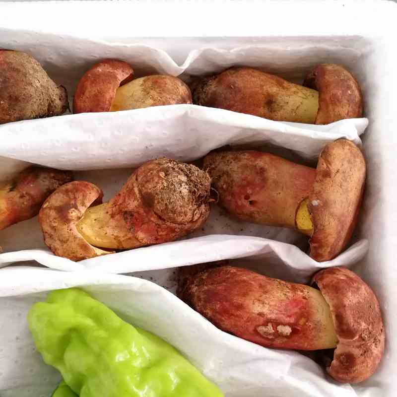 23ֻʺţξ500g״оҰɫĢڻϼ
