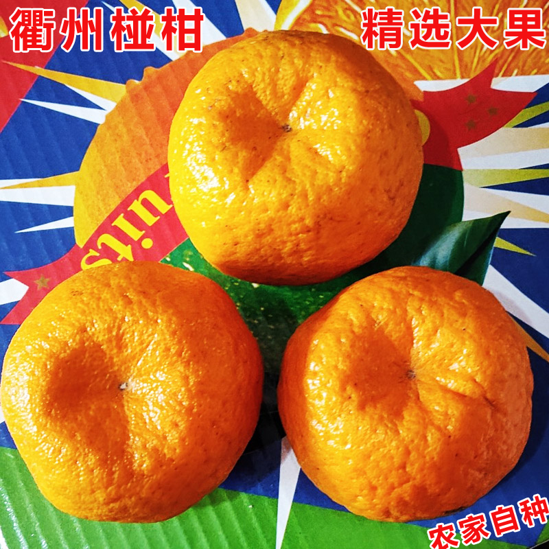 ũ ݗո «   ˮ ժ԰ֱ
