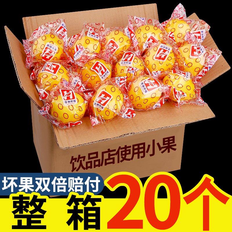 ĴС20ˮժƤˮ
