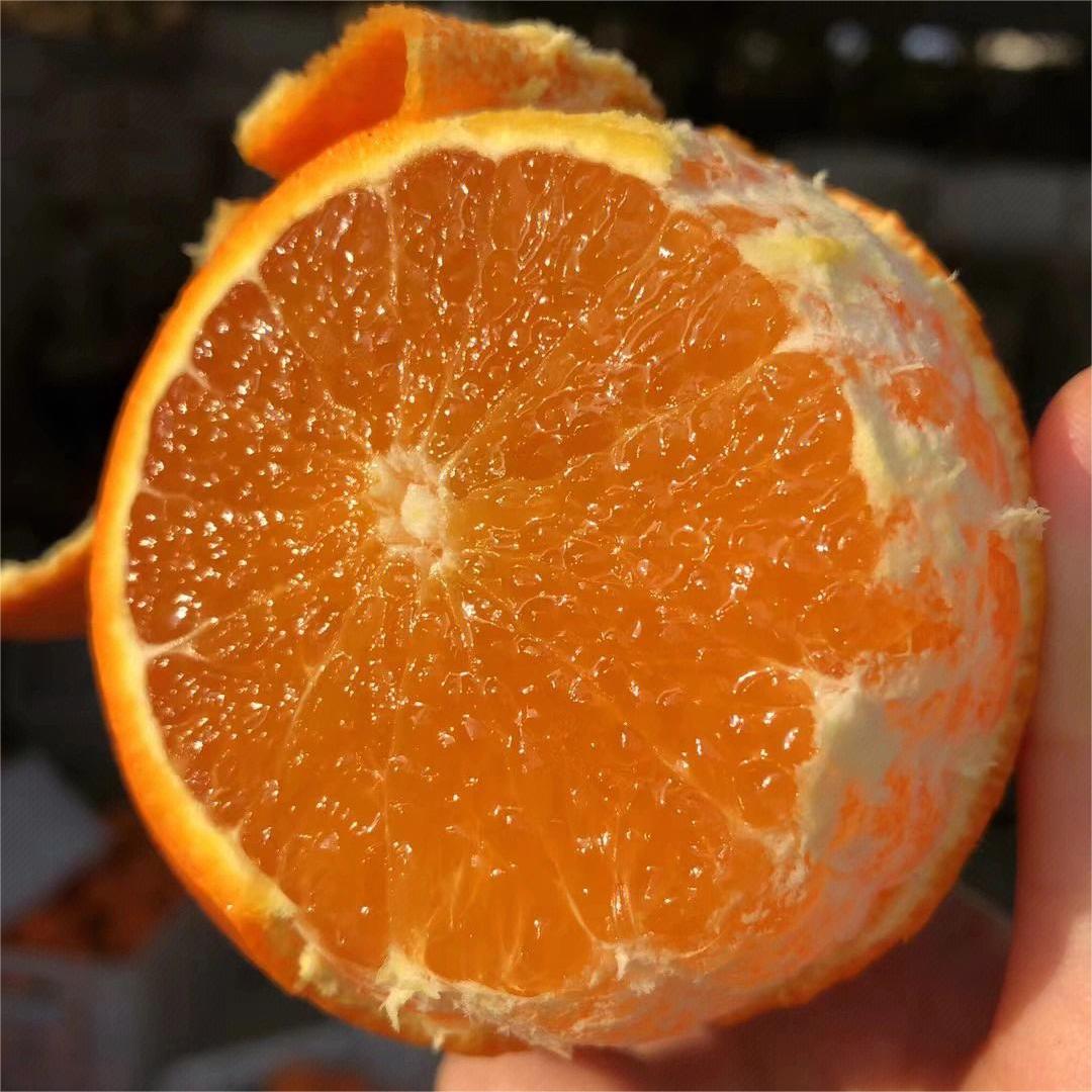 ũֱĴȰ38ӽˮ10װ
