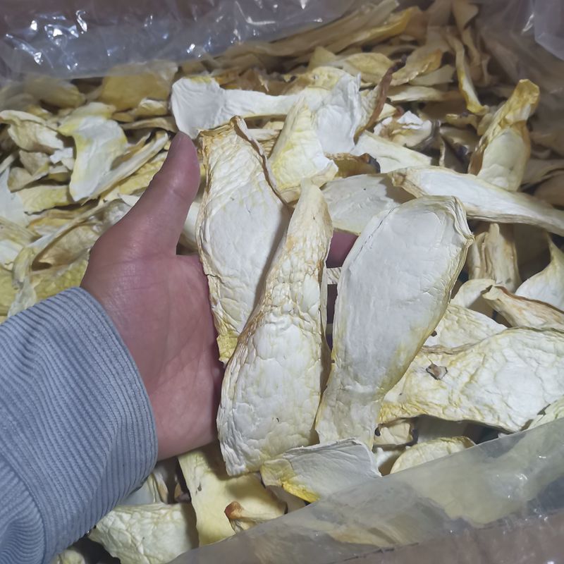ӱɻ ɽƬ500װպóز㹽Ƶ
