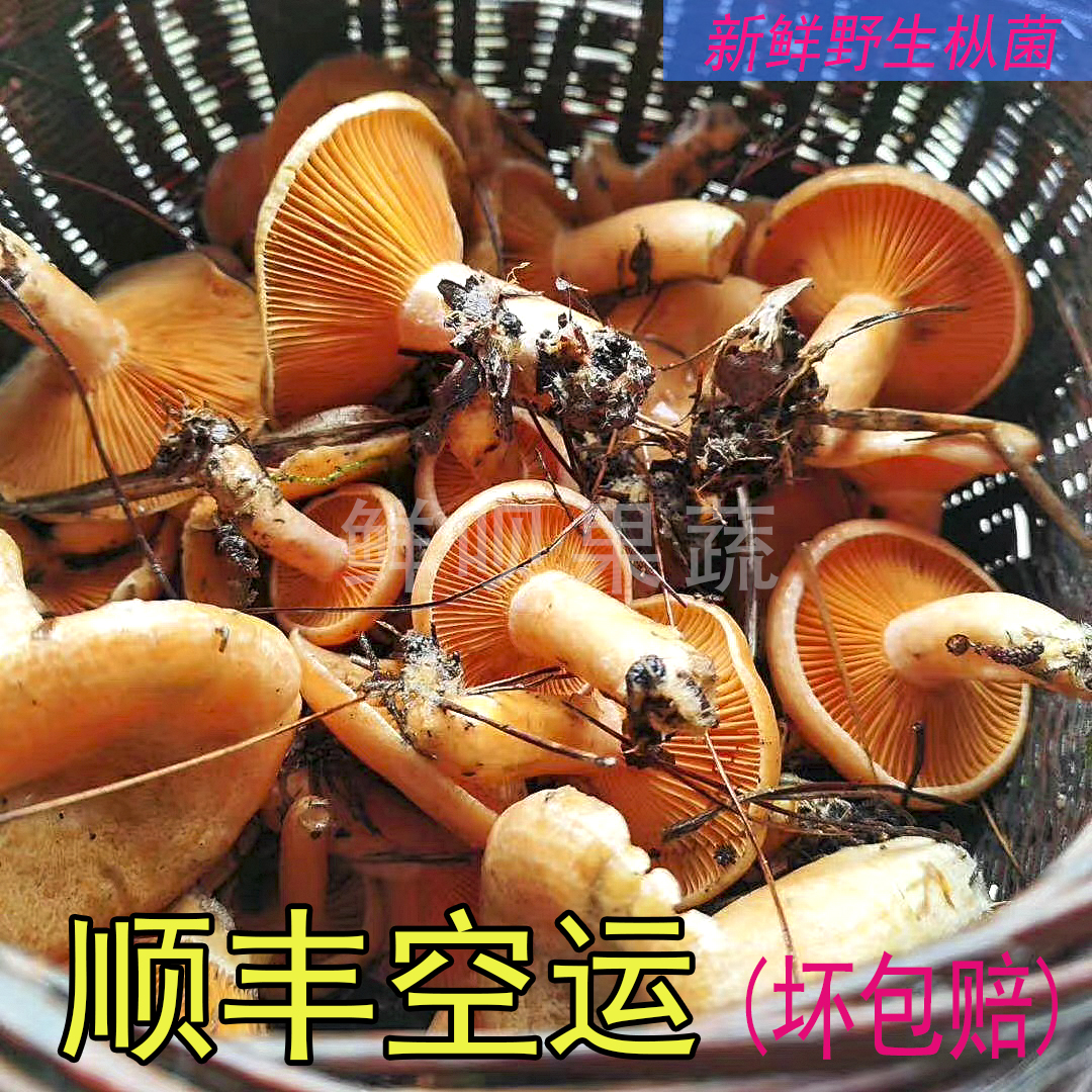 ҰȾ˿Ⱦ̽鹽ϻ

