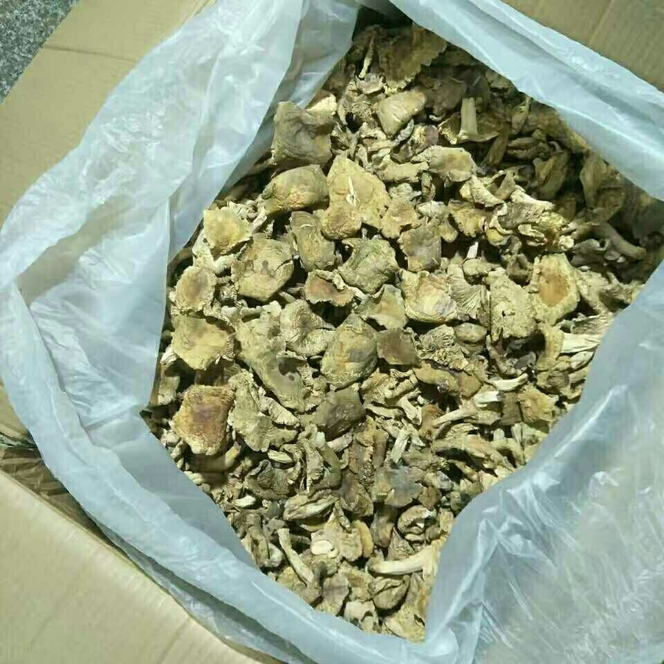 ҰȻͷɻ湽Ģ̶ҰɻС๽Ӿ
