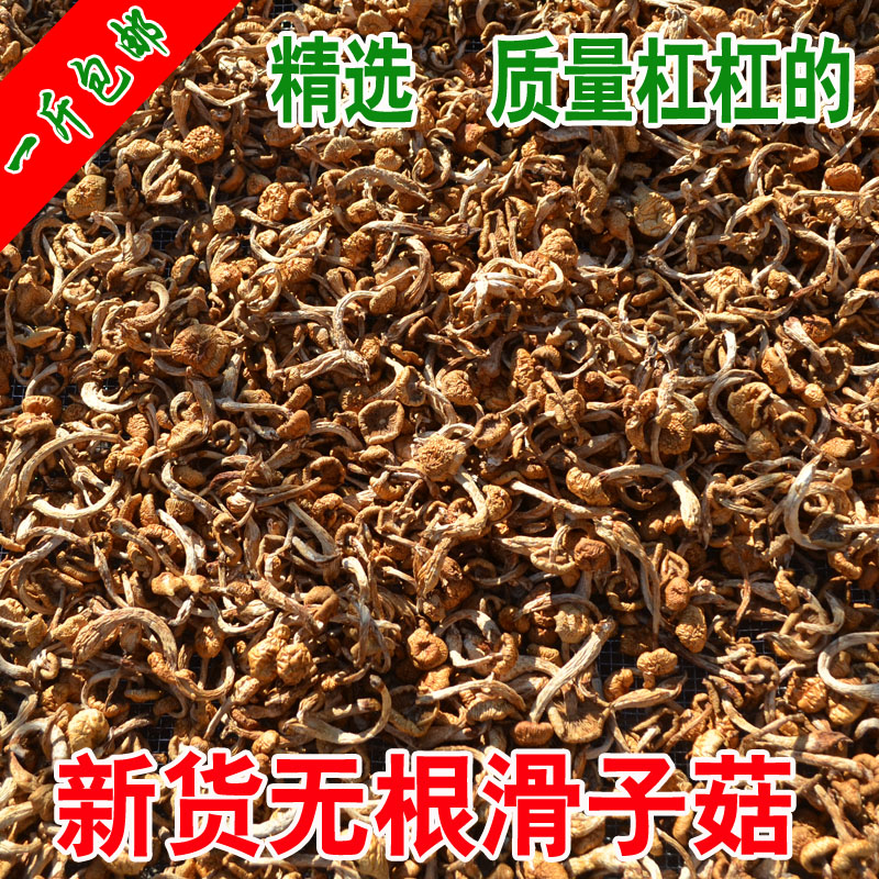 2023»ӹ˰ĢزСƻĢ500g˰

