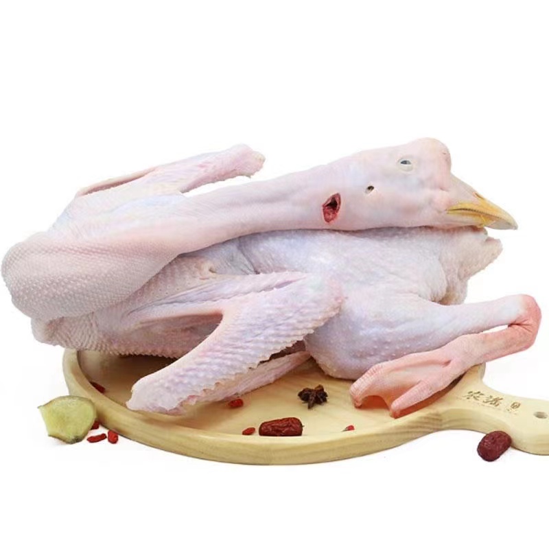 㶫Զںضũɢʴɱնֻ˳

