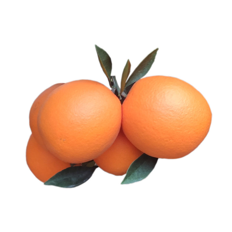 Ӹ20ʵˮݲֱ10
