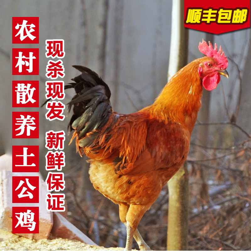 ձũɢ󹫼ũɱĸ
