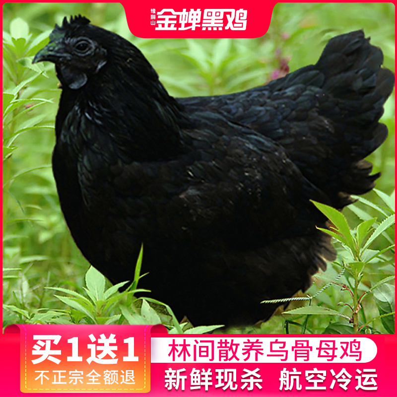 ڼ ũɢ䶳ֻڹǼڼĸ
