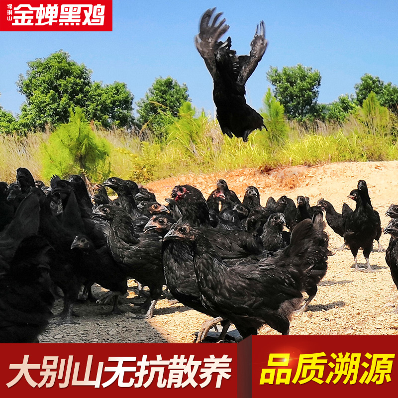 ڼ ũɢ䶳ֻڹǼڼĸ
