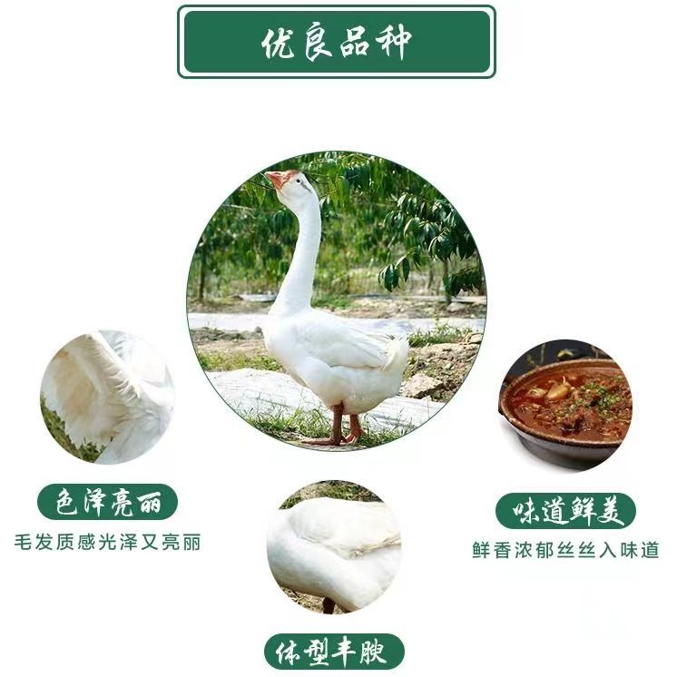 ˳ʡũɱ׶۶챿϶ݶ
