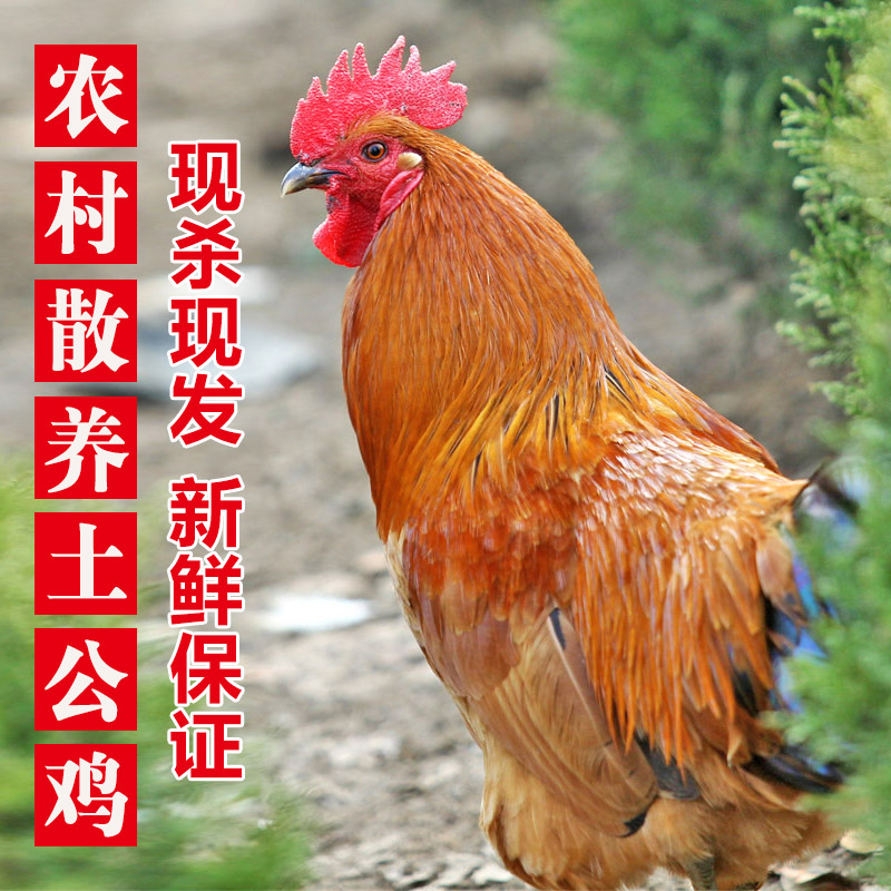 ձũɢ󹫼ũɱĸ
