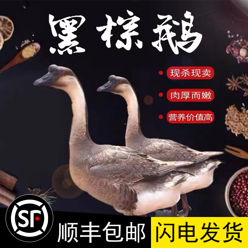 㶫Զںضũɢʴɱնֻ˳
