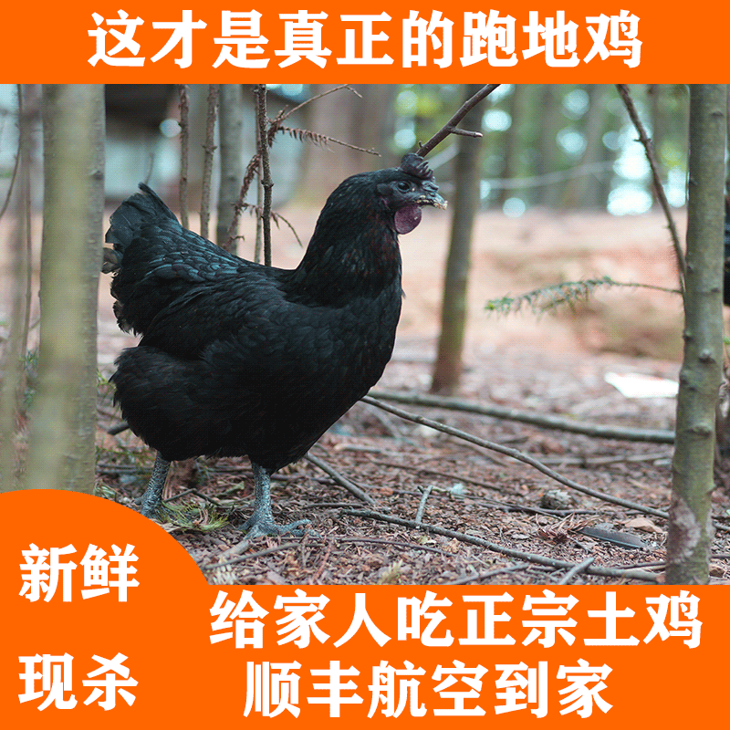 ּڹǼɱ׼ũɢиĸ
