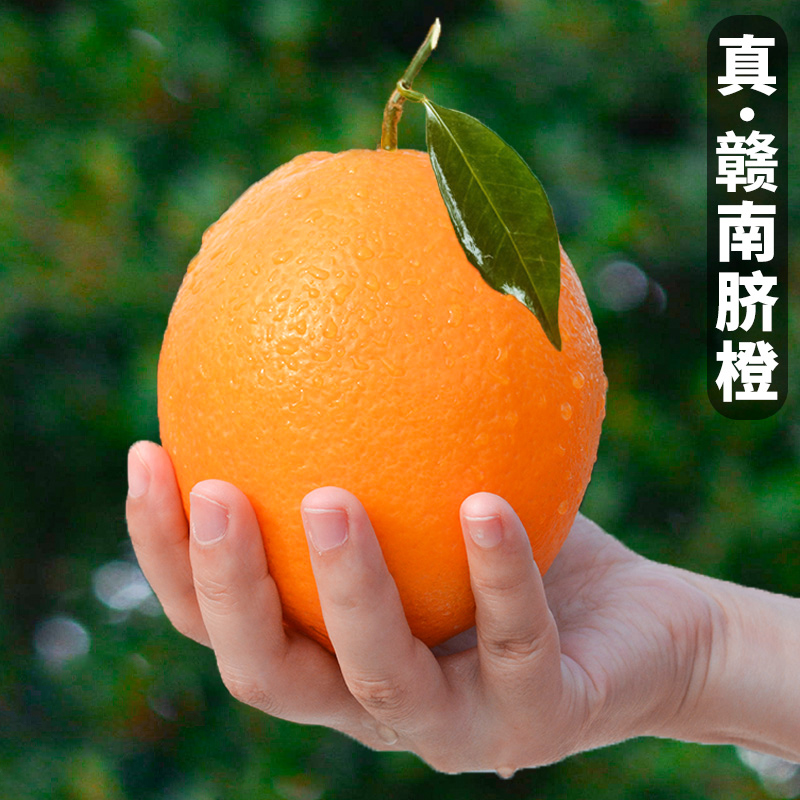 ȳˮ5ھƷ10
