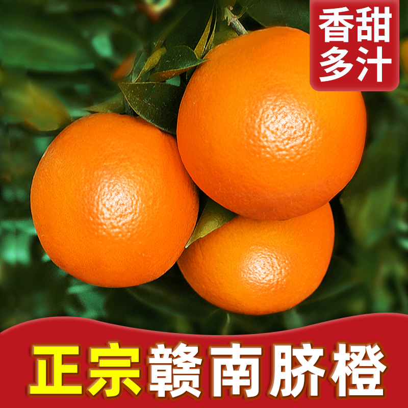 ȳˮ5ھƷ10
