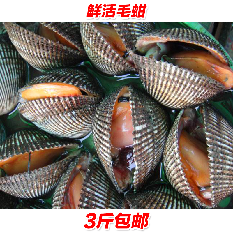 ëʻëѪʺˮ500g3ʴë
