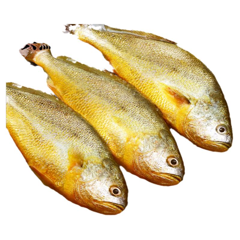 Ƽɡ7ǧڸӶ
