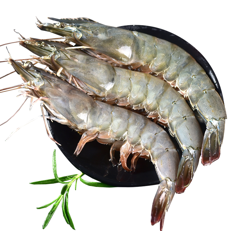ʴϺʻٶشΧϺൺϺϺϺ׶ϺϺˮ
