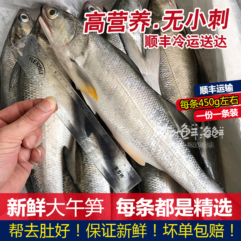 ʻ䶳ˮʺÿ450g-550g
