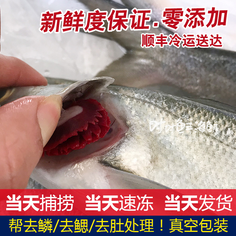 ʻ䶳ˮʺÿ450g-550g
