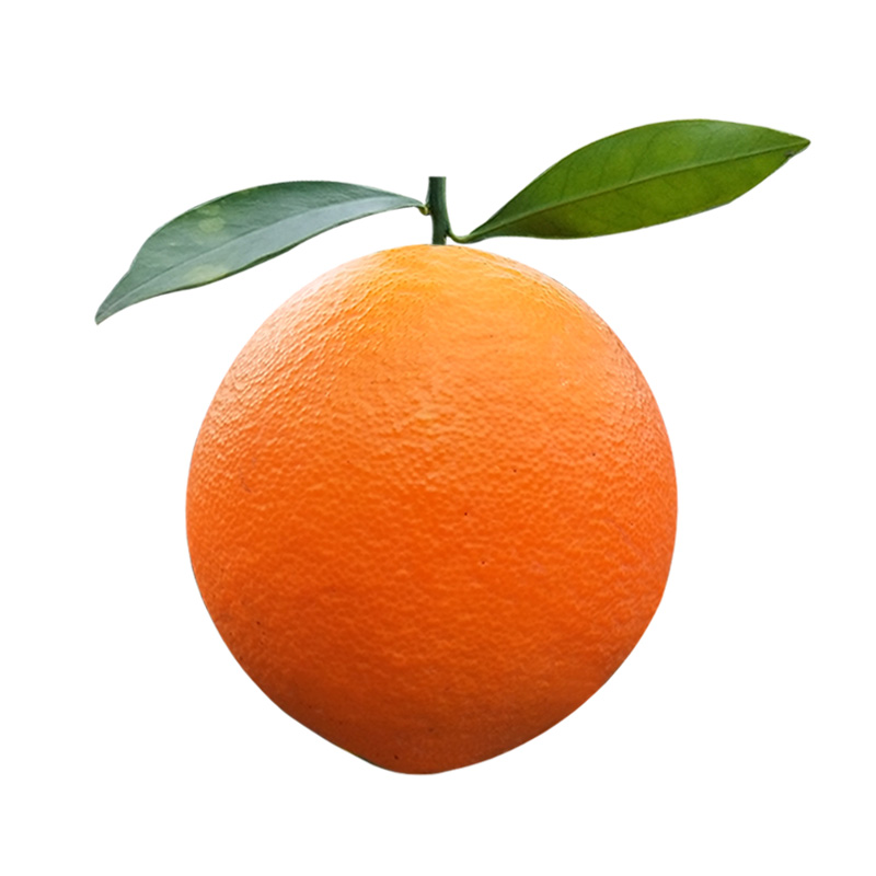 ڽ20Ѱӵиˮְȴ10
