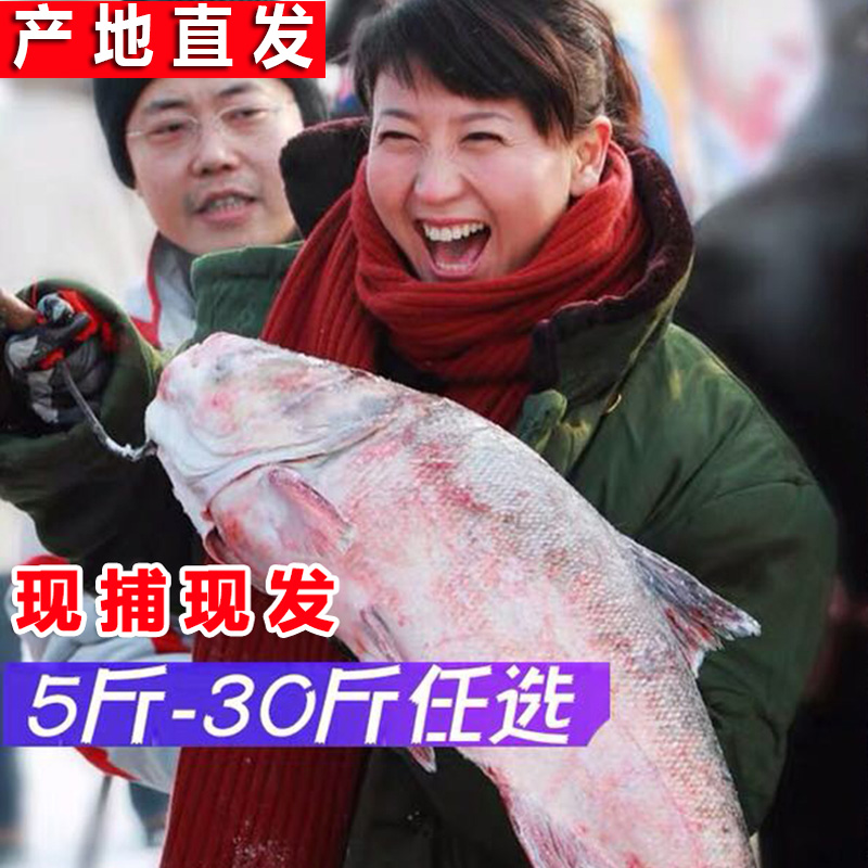 ڲɺͷ㻨㶫ˮͷ5-30
