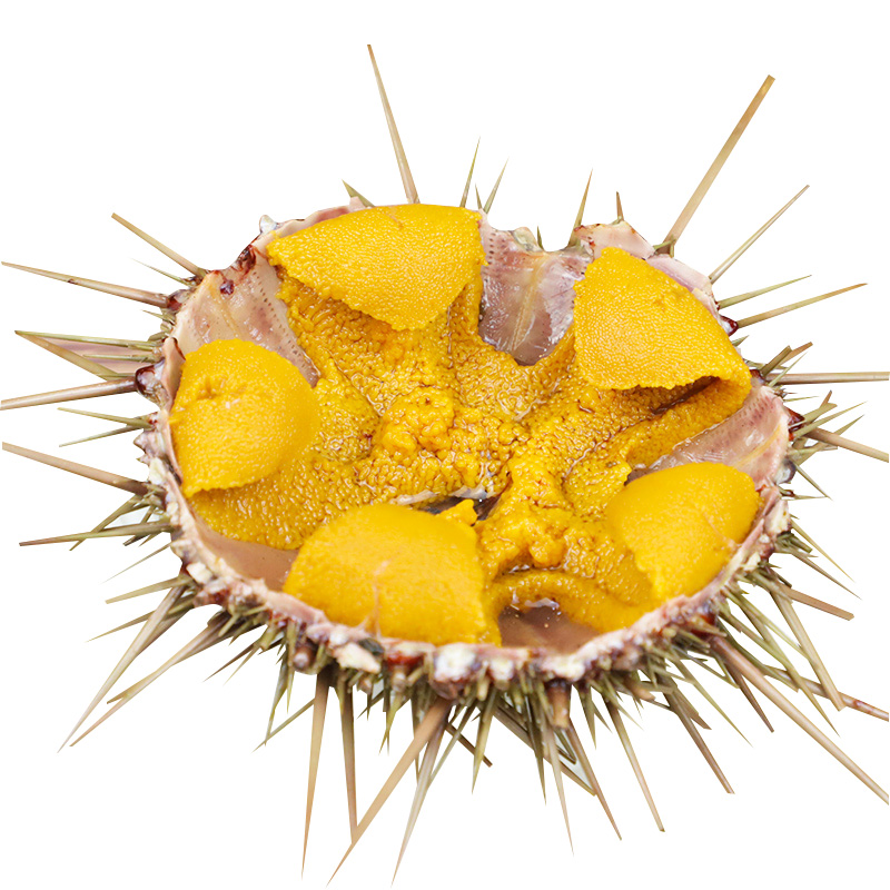 ƽ𺣵Сƽʻ500gʳʳϺʺʻ
