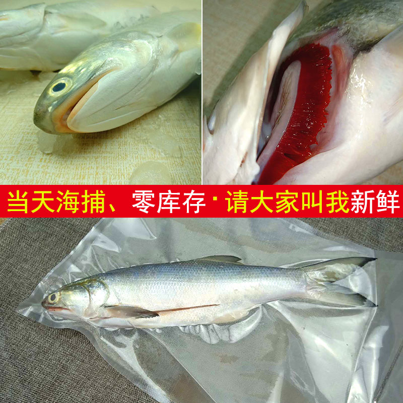 زտʻ䶳㺣
