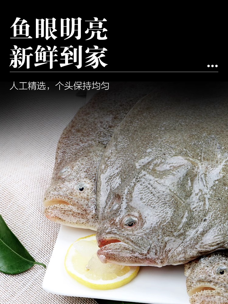 ⡿ʺ౦ʻ䶳Ŀ7-9/3ˮ

