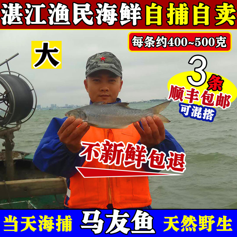 زտʻ䶳㺣
