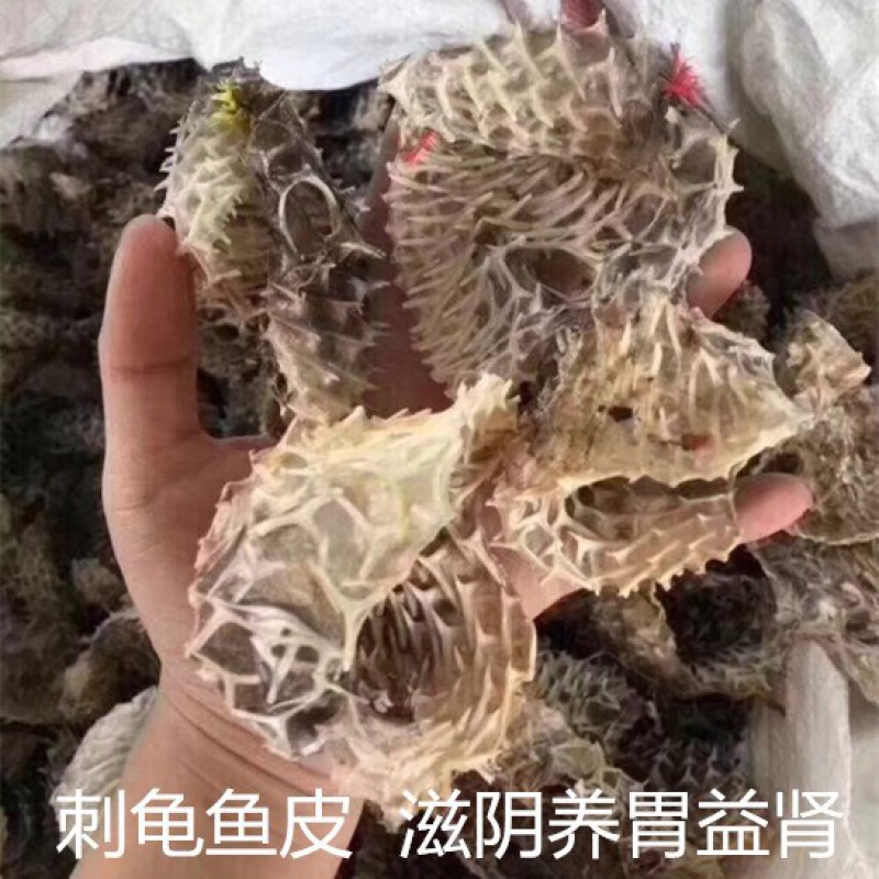 С̹ƤƤƤ⬸ɻ ز̹Ƥ500g
