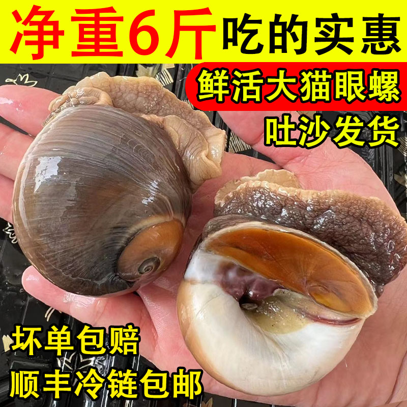 èʻشɳݰݺʺˮ˳

