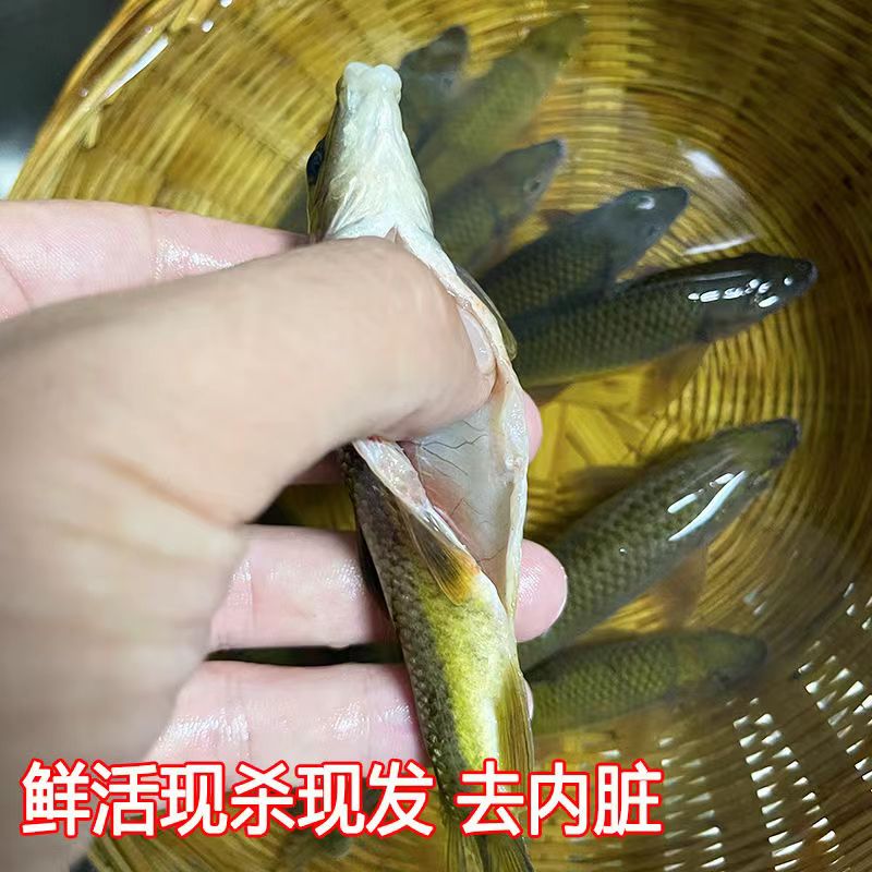 ɽˮϪʯɱʳˮСϪˮ㰲ز
