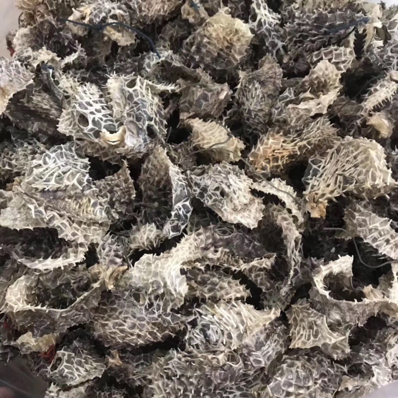 С̹ƤƤƤ⬸ɻ ز̹Ƥ500g
