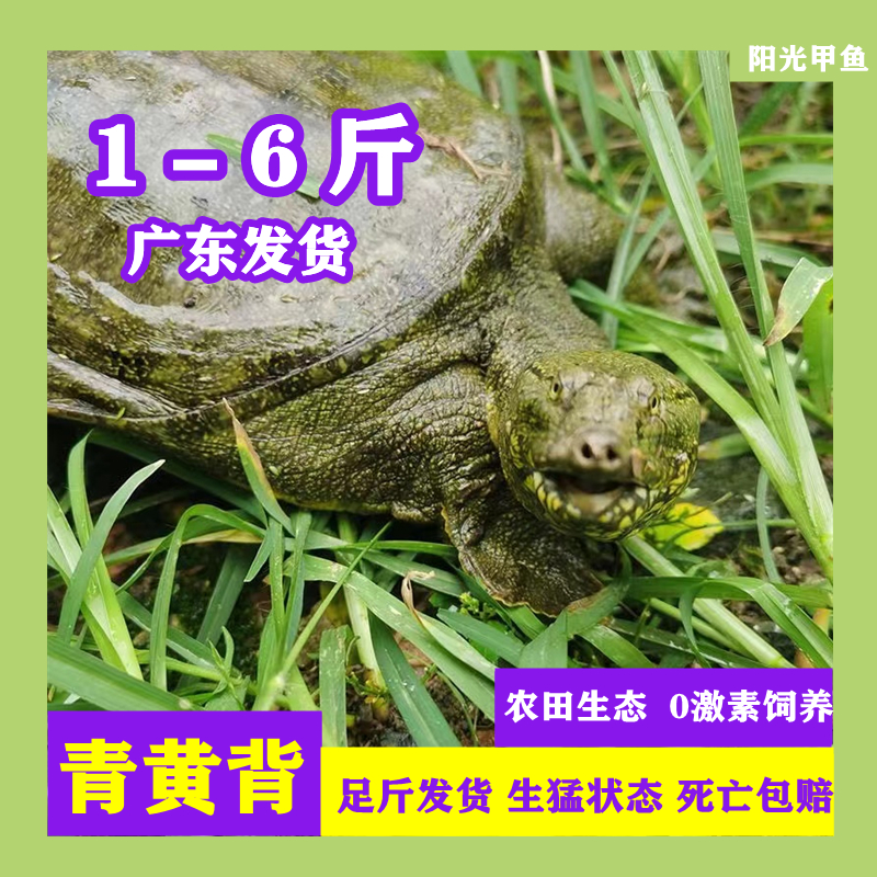 ũ̬лˮʳʻ
