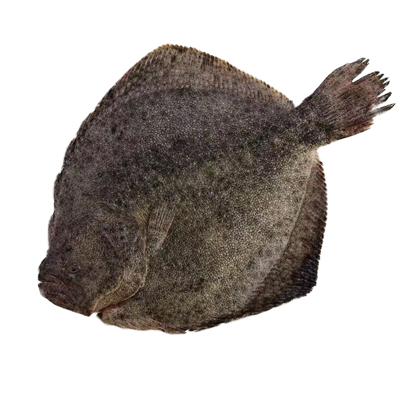 ʶ౦㺣ٶʳտˮʶ౦ұĿ
