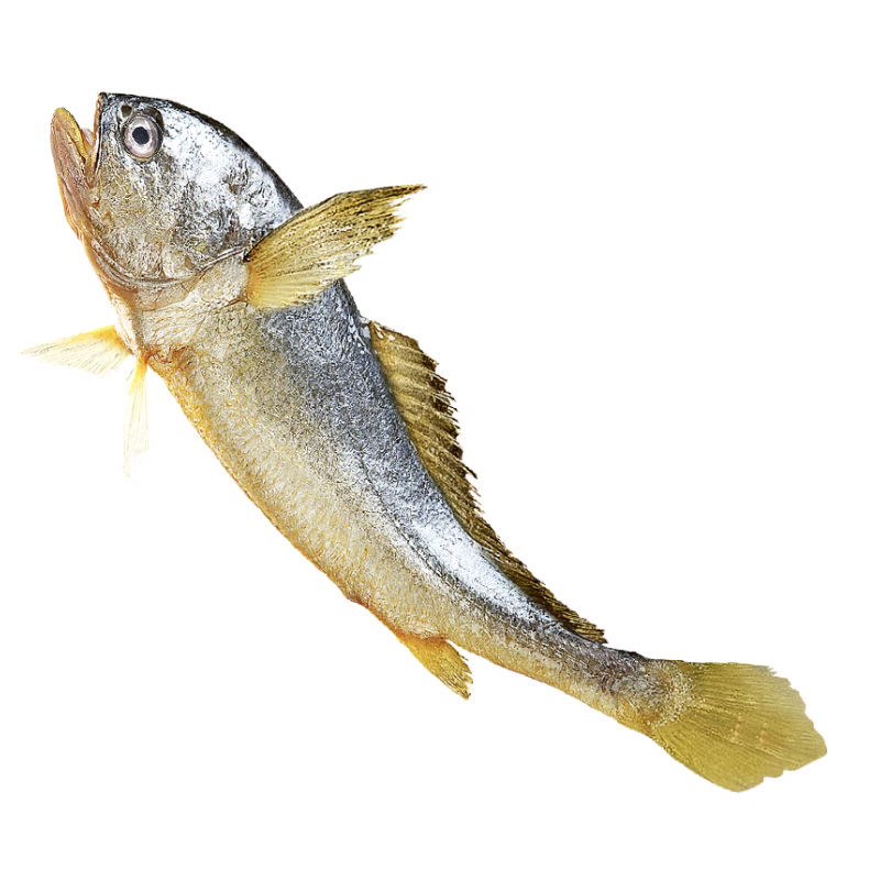 ȥ150g ɱϴ ˱ر ر
