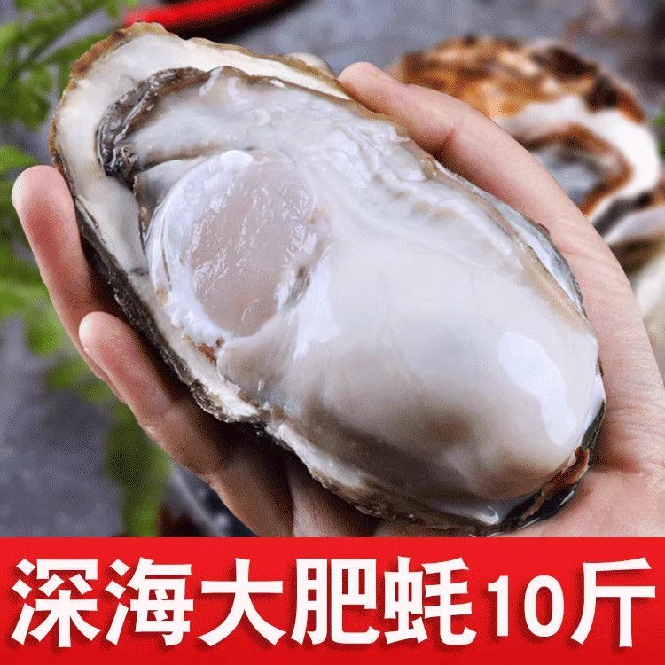 ɽʻ10ش亣ĵúˮ
