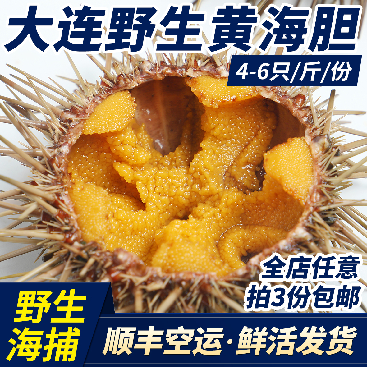 ƺ̹Ϻຣʻʼʳ5ͷ1
