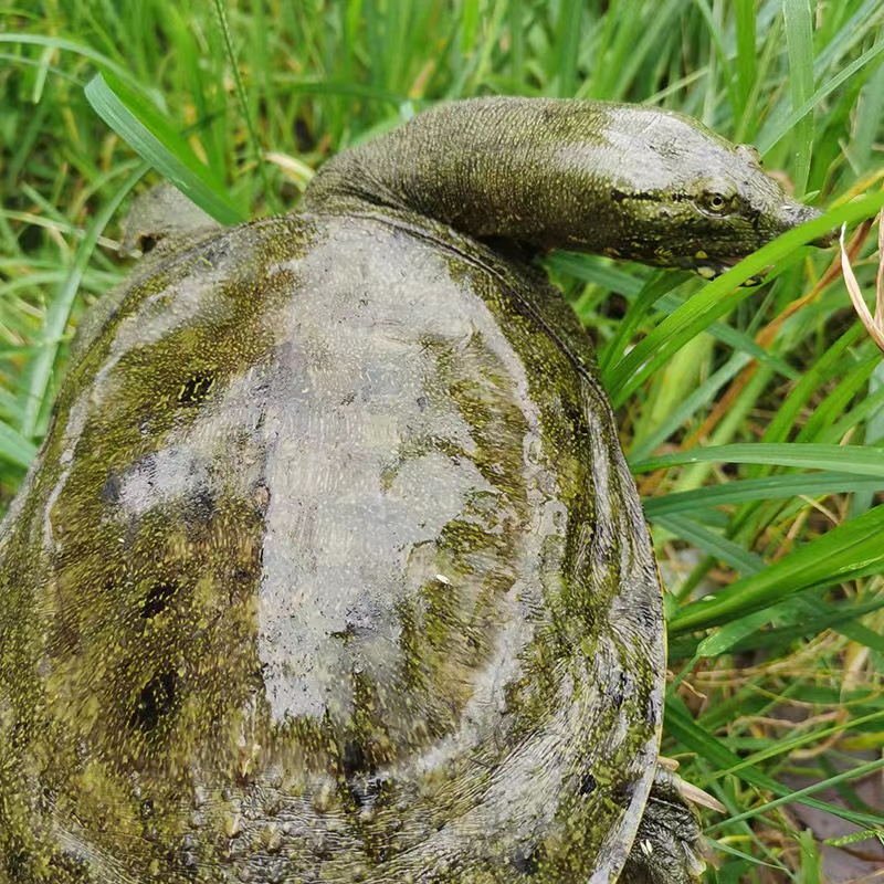 ũ̬лˮʳʻ
