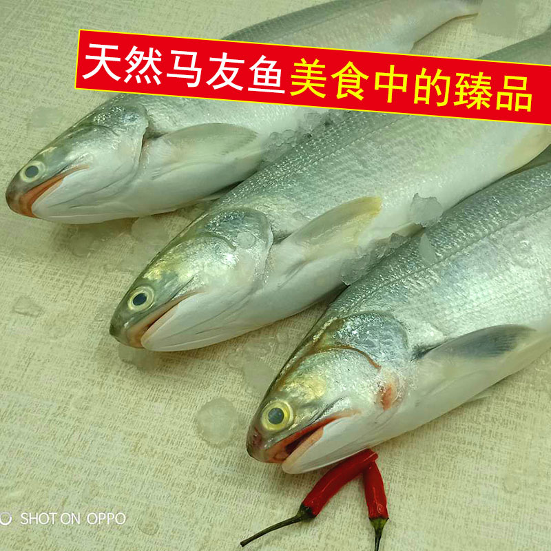 زտʻ䶳㺣
