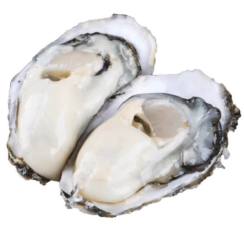ɽʻ10ش亣ĵúˮ
